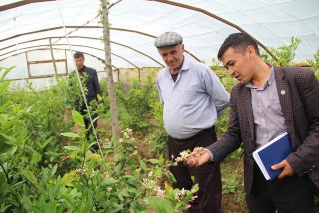 Experienced farmer from Jizzakh transfers experience to young people