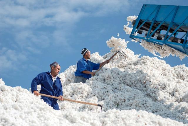 Our cotton industry will be more developed