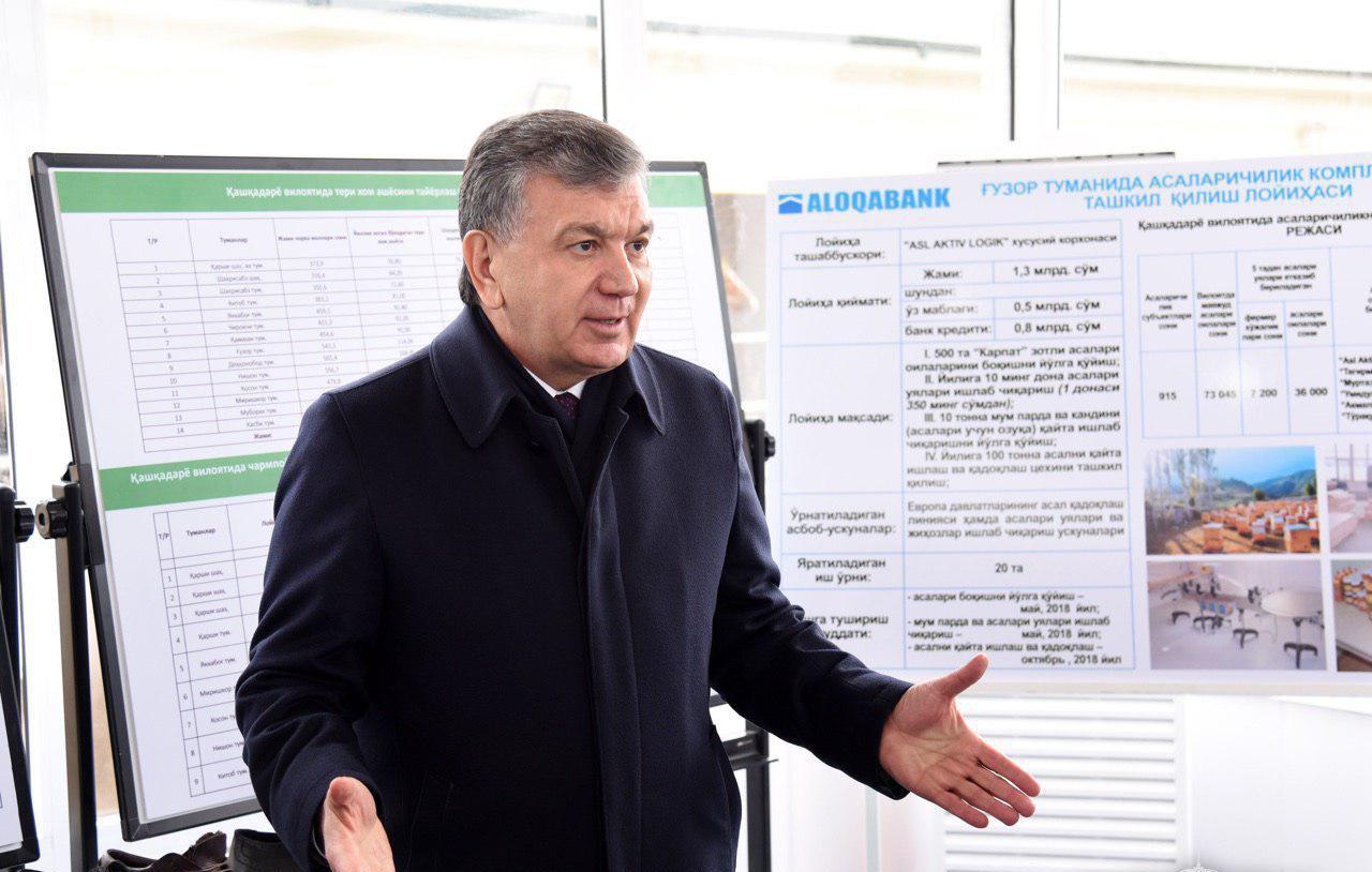 Президент Шавкат Мирзиёев ознакомился с проектами по развитию сельского хозяйства Кашкадарьи