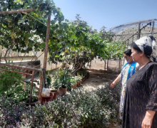 Обмен опытом женщин Асаки в рамках проекта “Образцовый владелец приусадебных земель”