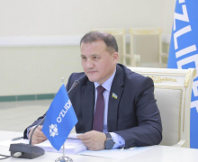 Инициативы Узбекистана, направленные на продвижение интересов развивающихся стран