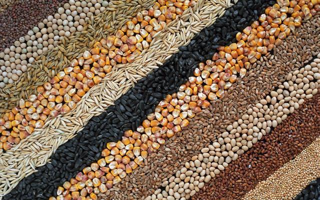 О мерах по коренному совершенствованию системы семеноводства в Республике Узбекистан