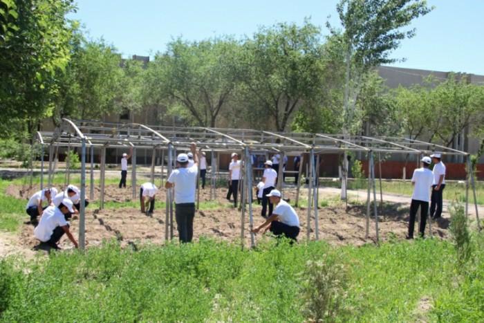 UzLiDeP`s deputy helped to build greenhouses in 56 houses