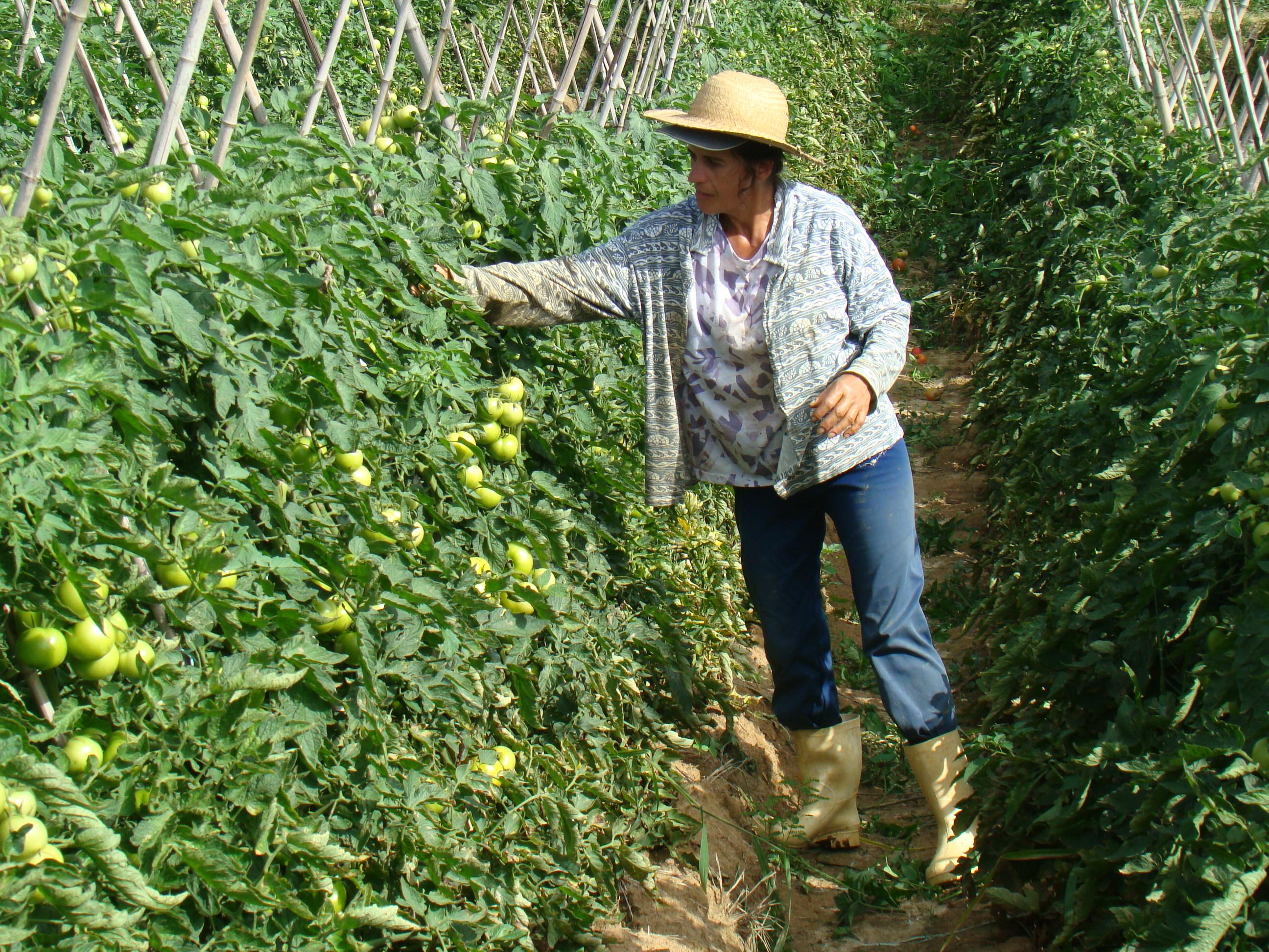Активист УзЛиДеП открывает фермерскую школу для женщин