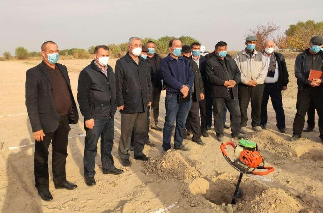 Industrial grapes planted on a thousand hectares in Ellikkala