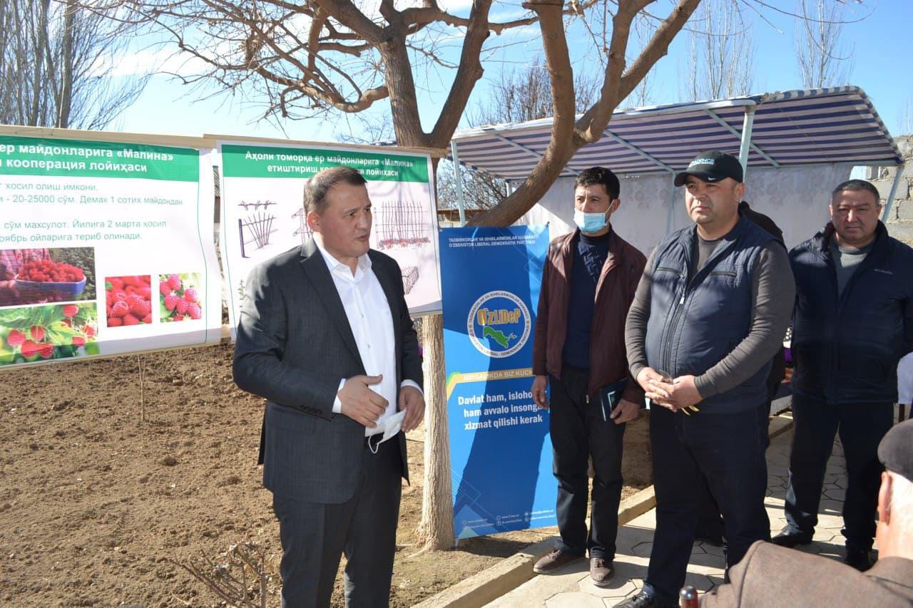 Population in Shakhrisabz district will unite in a cooperative for growing raspberries