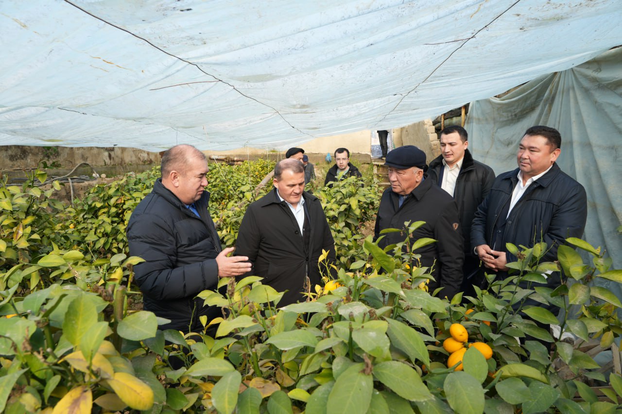 Yangiobodlik aholi bilan uchrashuvlar tashkil etildi