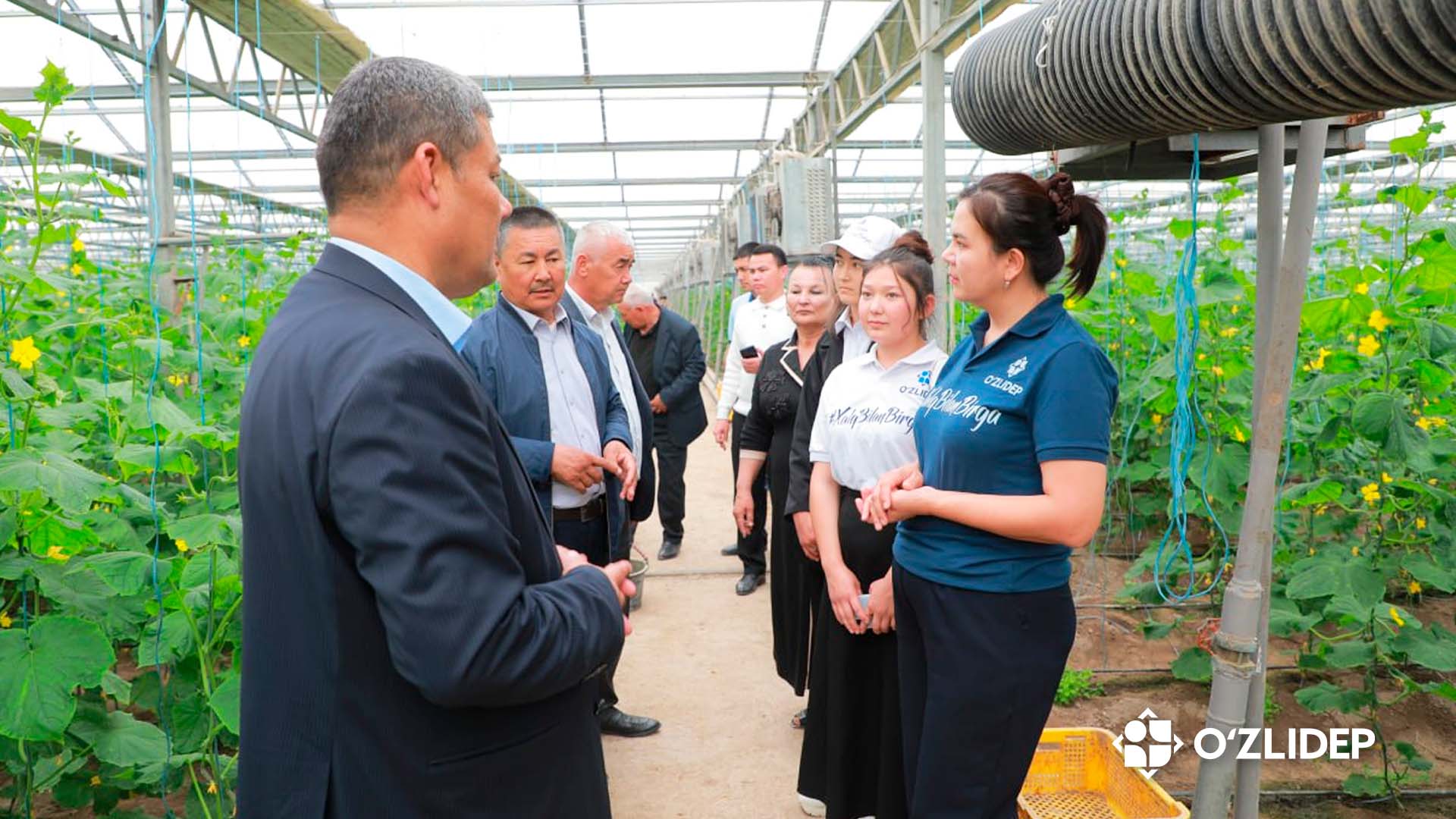 “Xalq bilan birga” dasturi yoshlarning fermerlikka oid bilimlari mustahkamlashga xizmat qilmoqda