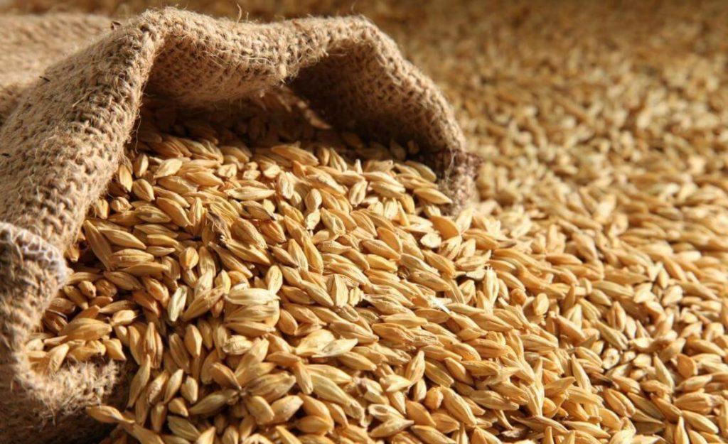 Giving independence to farmers and clusters is a huge opportunity for the development of grain production